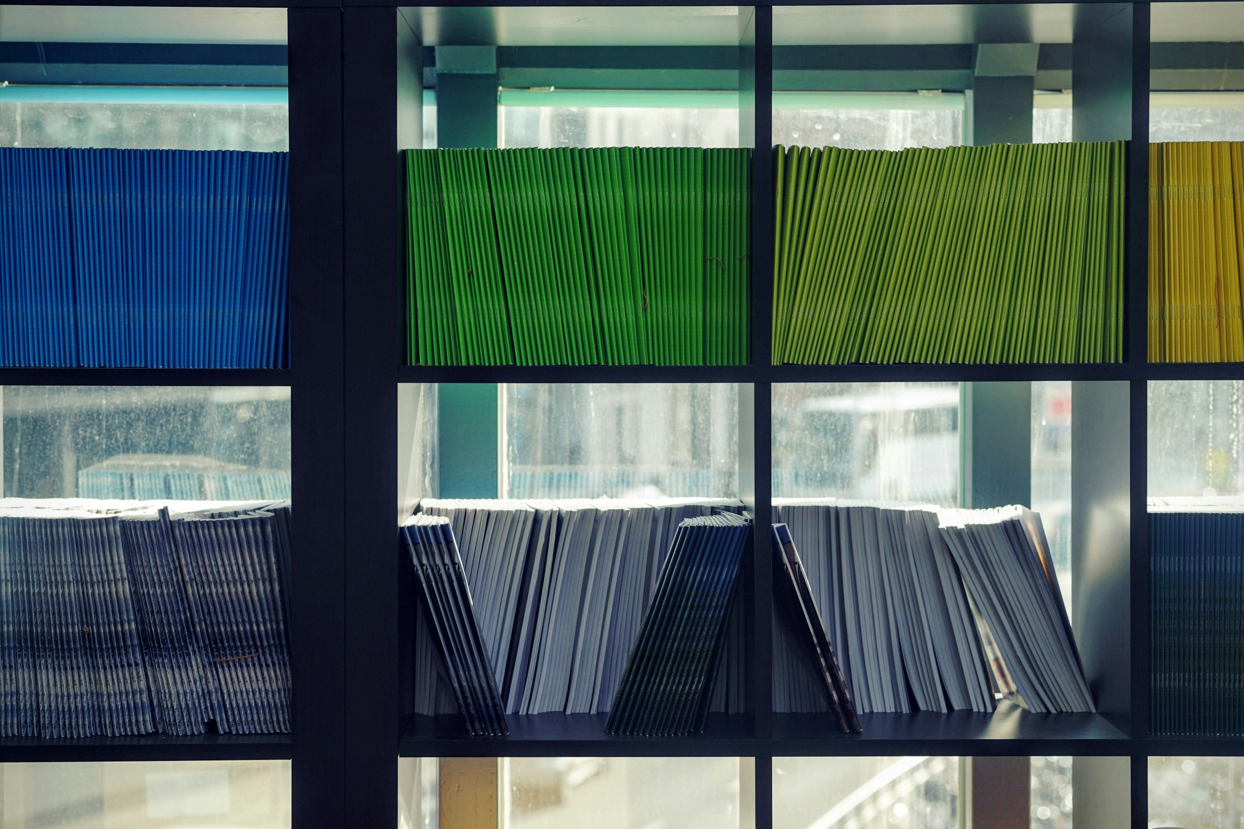 Close up of blue, green, yellow, and white books organized by color on black shelves.