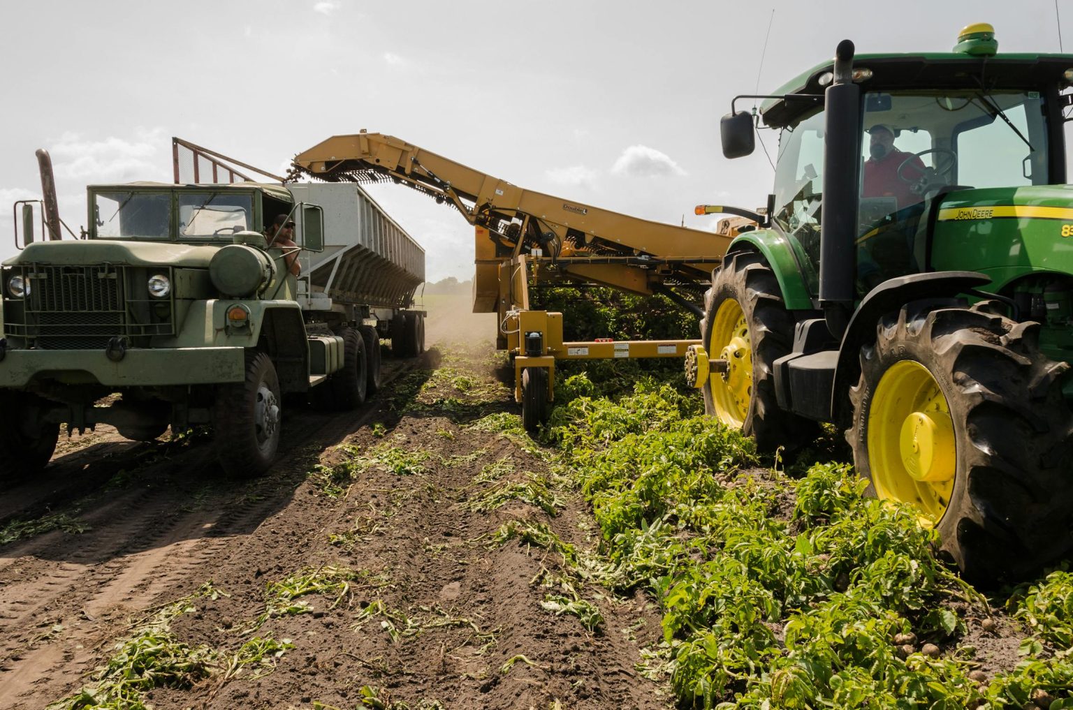 tractors harvesting crops on a farm