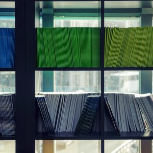 Close up of blue, green, yellow, and white books organized by color on black shelves.